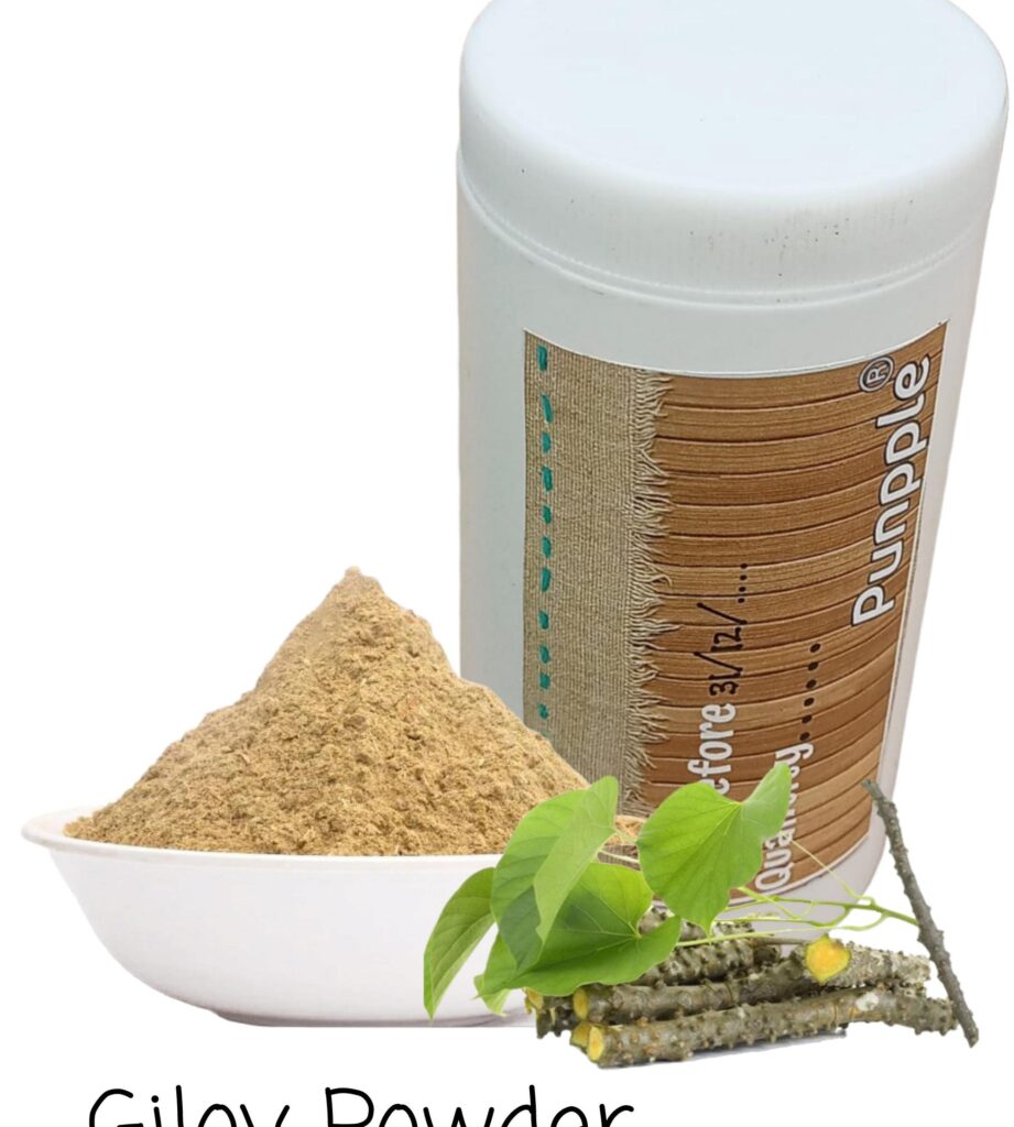 Giloy/Amrita/Guduchi Powder COLD FLU FEVER ARTHRITIS ANTIOXIDANT